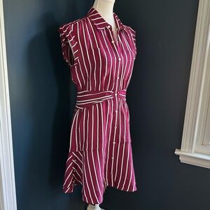 Derek Lam 10 Crosby Cora Striped Mini Shirt Dress in Raspberry, Size 4